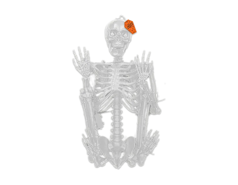 Light Up Large Skeleton 5.3FT