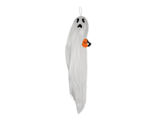 Spooky Moving Ghost Light 1.1M